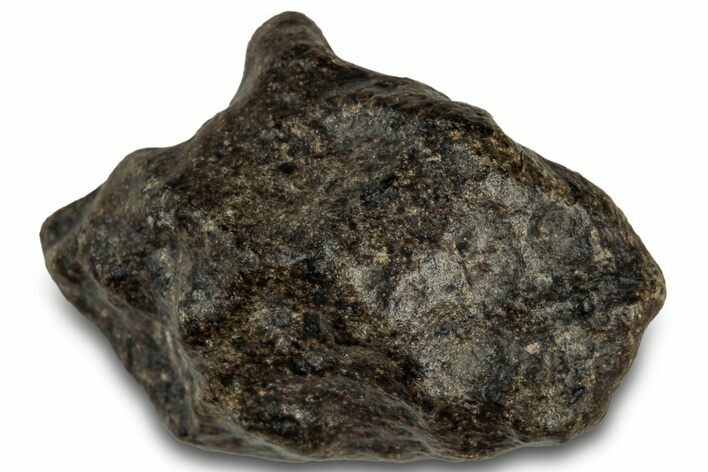 Martian Shergottite Meteorite ( g) - Amgala #301029